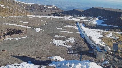 Turoa: Alpine meadown (pureturoa.nz)