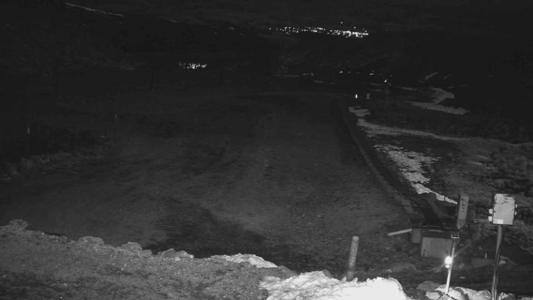 Webcam Turoa: Alpine meadown