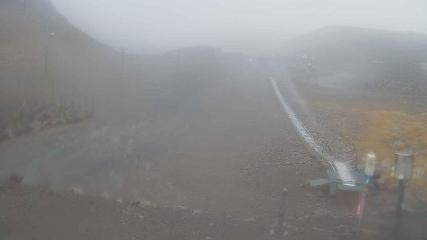 Turoa: Alpine meadown (pureturoa.nz)