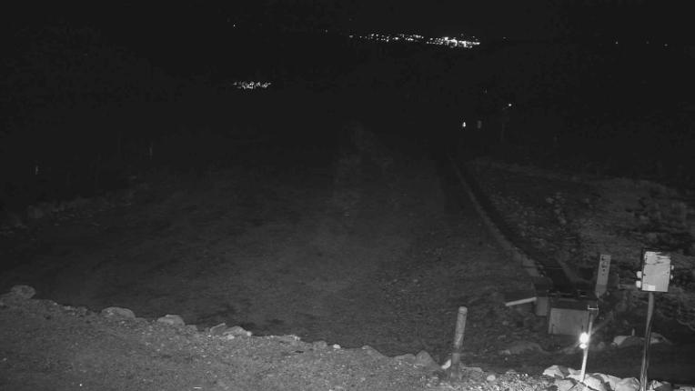 Webcam Turoa: Alpine meadown