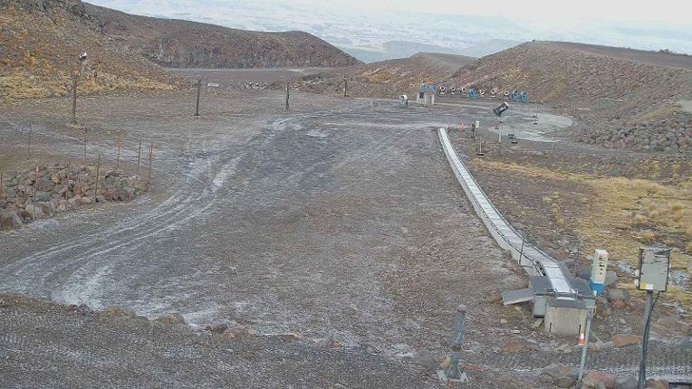 Webcam Turoa: Alpine meadown