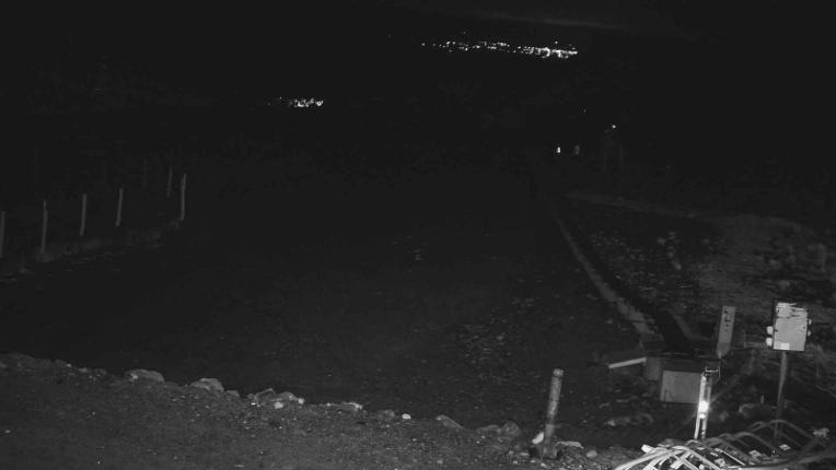 Webcam Turoa: Alpine meadown