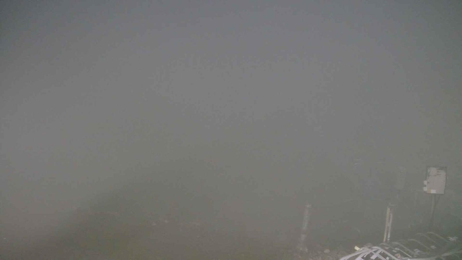 Webcam Turoa: Alpine meadown