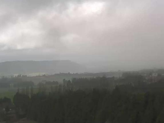 Webcam Turoa: Mountain View