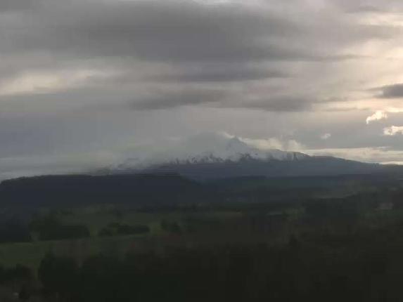 Webcam Turoa: Mountain View