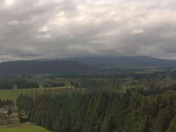 Webcam Turoa: Mountain View