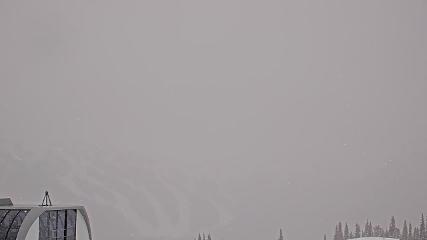 Turoa: Mountain View (pureturoa.nz)