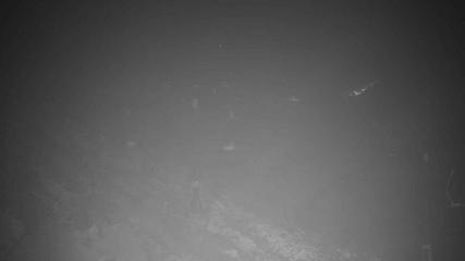 Turoa webcam