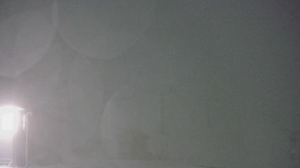 Turoa webcam