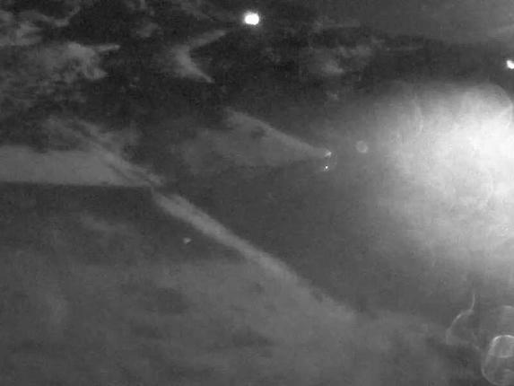 Webcam Turoa: The Giant
