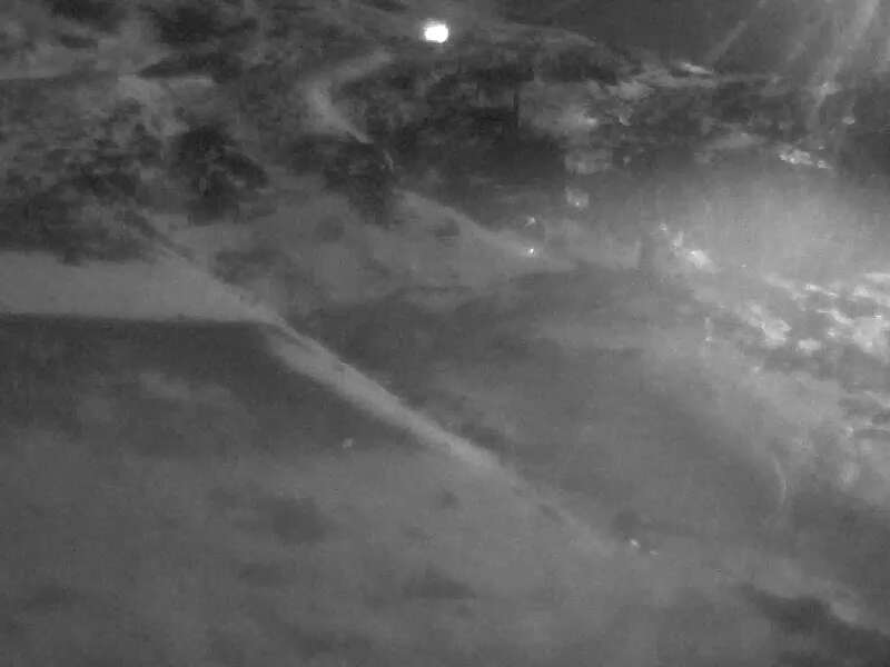 Webcam Turoa: The Giant