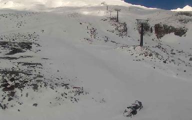 Turoa: The Giant (pureturoa.nz)