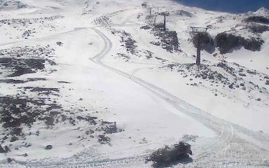 Turoa: The Giant (pureturoa.nz)