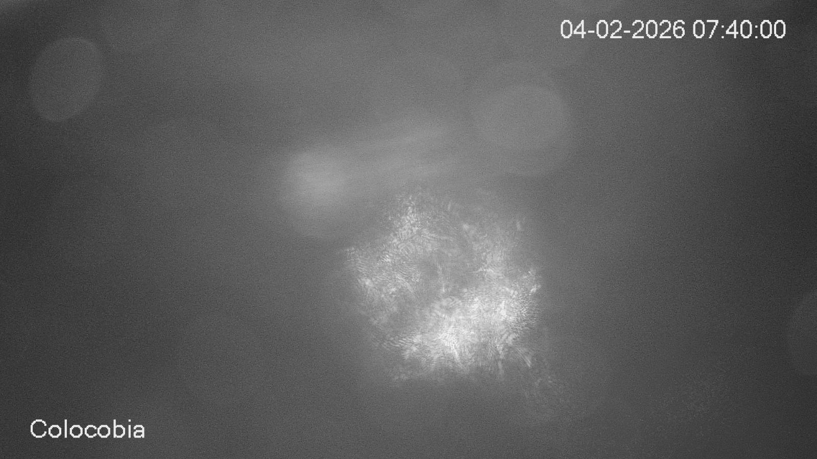 Webcam Valdezcaray: Colocobia