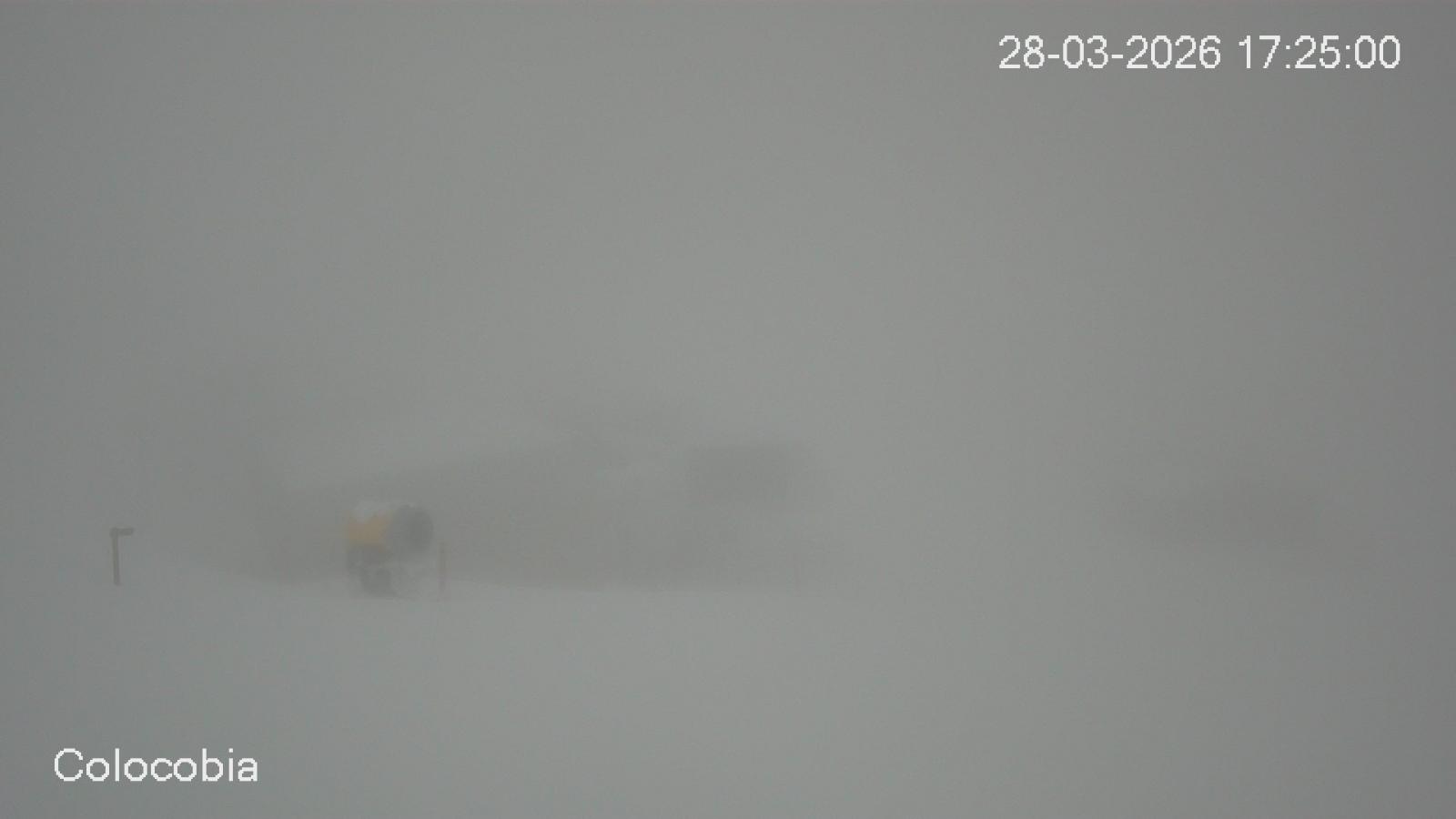 Webcam Valdezcaray: Colocobia