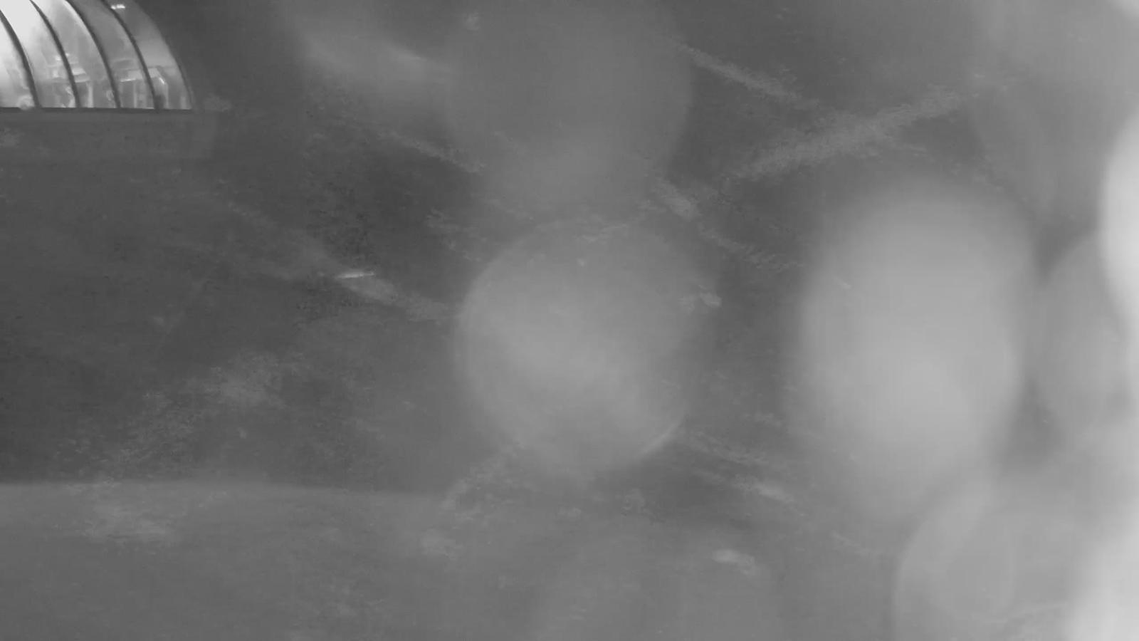 Webcam Valgrande-Pajares: Cuitu Negro