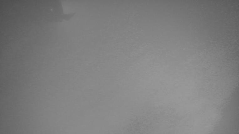 Webcam Valgrande-Pajares: Cuitu Negro