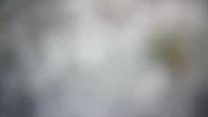 Valgrande-Pajares: Valle del Sol (webcamdeasturias.com)