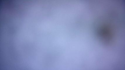 Image du rapport d'utilisateur dans Valgrande-Pajares