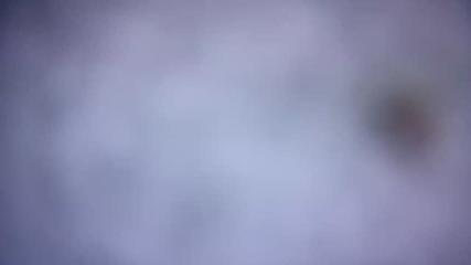 Bild des Benutzerberichts in Valgrande-Pajares