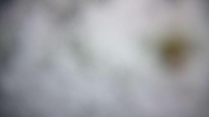 Valgrande-Pajares: Valle del Sol (webcamdeasturias.com)