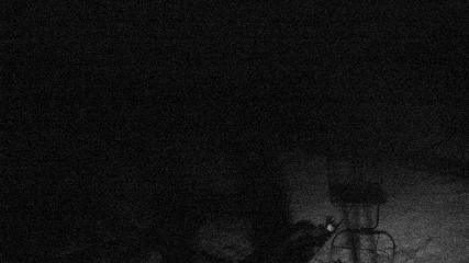 Bild des Benutzerberichts in Valgrande-Pajares