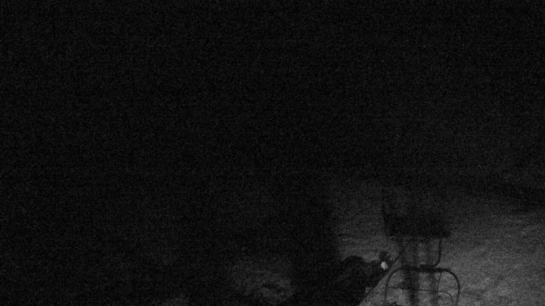 Webcam Valgrande-Pajares: Valle del Sol