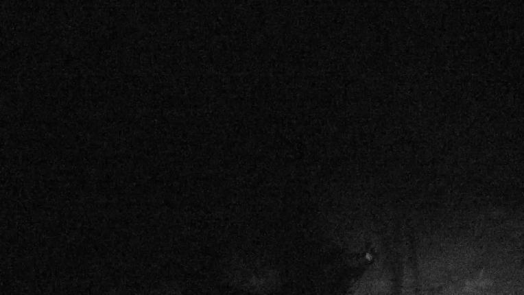 Webcam Valgrande-Pajares: Valle del Sol