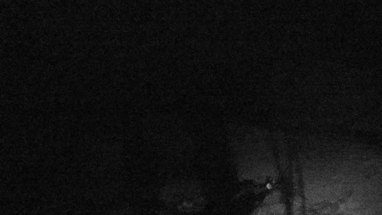 Webcam Valgrande-Pajares: Valle del Sol