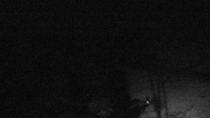 Valgrande-Pajares webcam