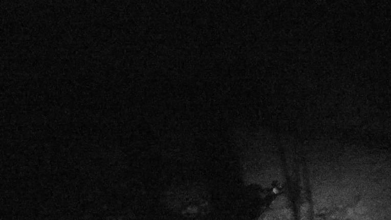 Webcam Valgrande-Pajares: Valle del Sol