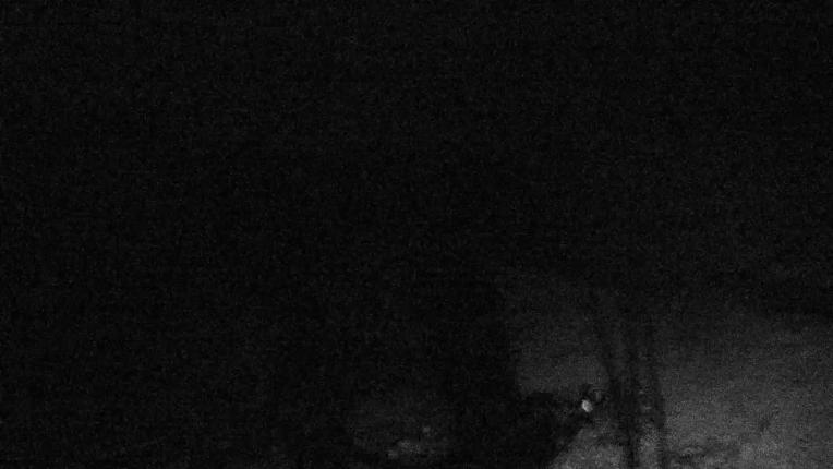 Webcam Valgrande-Pajares: Valle del Sol