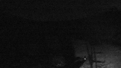 Valgrande-Pajares: Valle del Sol (webcamdeasturias.com)