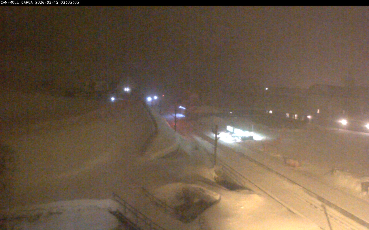 Webcam Vall de Núria: Estación