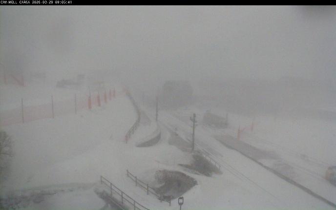 Webcam Vall de Núria: Estación