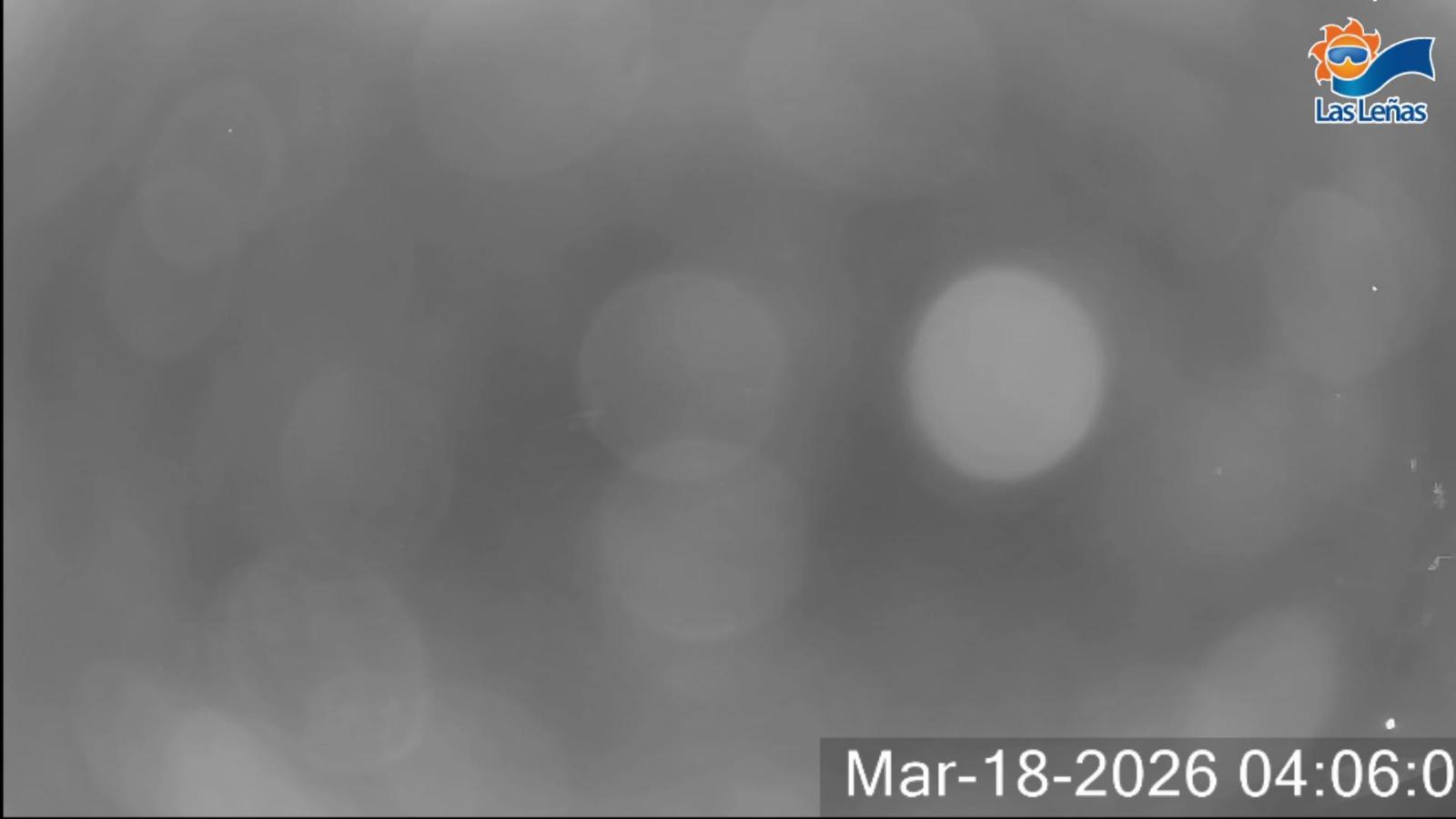 Webcam Valle de Las Leñas: Principal