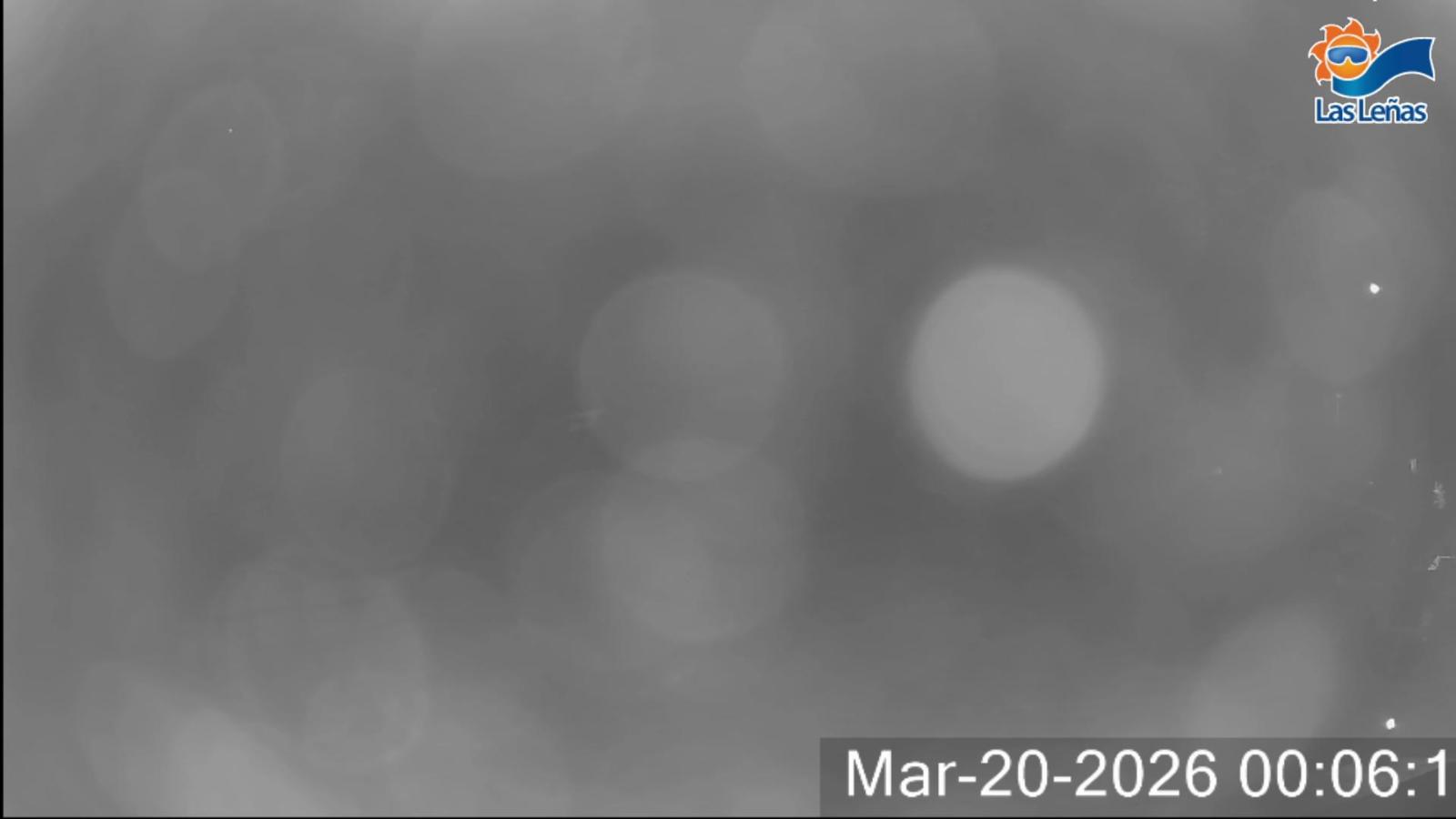 Webcam Valle de Las Leñas: Principal