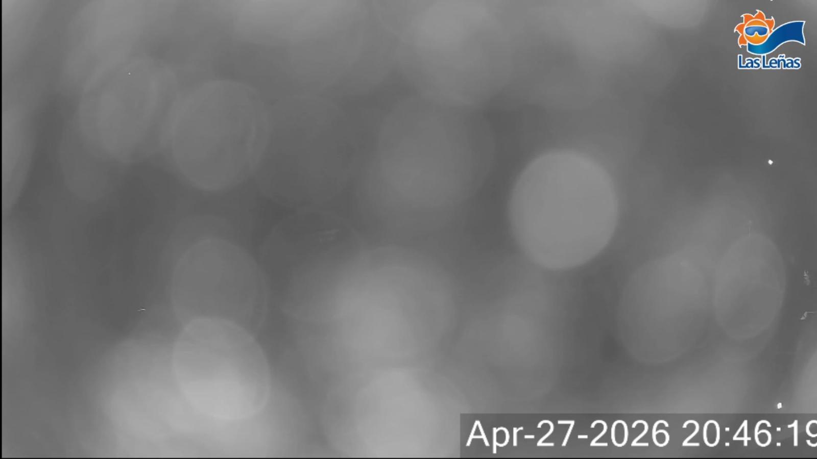 Webcam Valle de Las Leñas: Principal