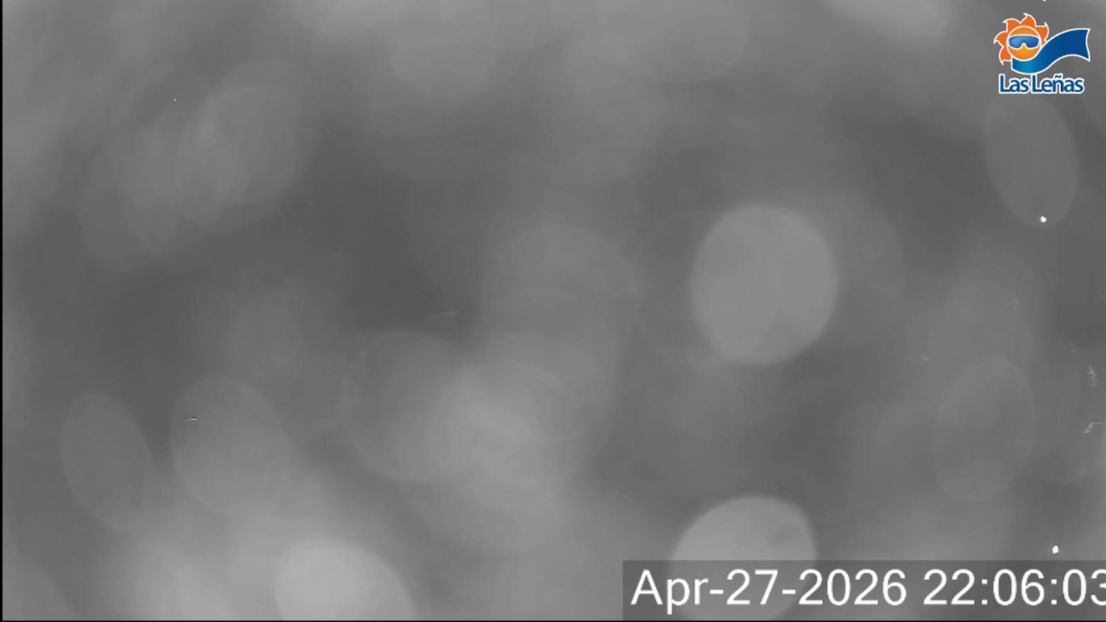 Webcam Valle de Las Leñas: Principal