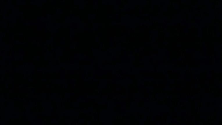 Webcam Vallnord (Pal-Arinsal): Port Negre 2, 2490 m