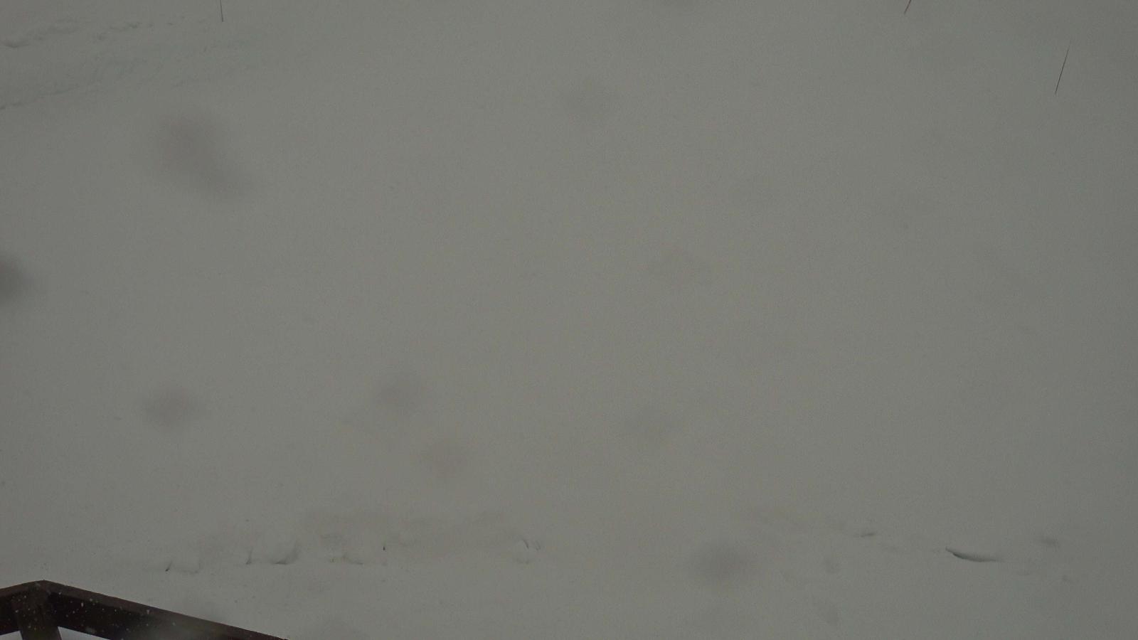 Webcam Vallnord (Pal-Arinsal): Port Negre 2, 2490 m