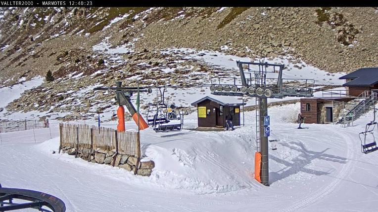 Webcam Vallter 2000: Marmotes