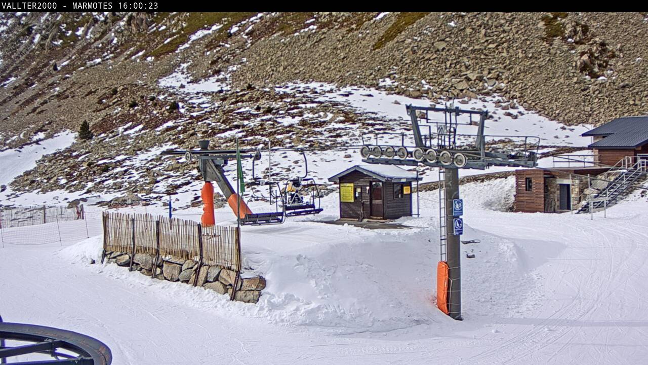 Webcam Vallter 2000: Marmotes