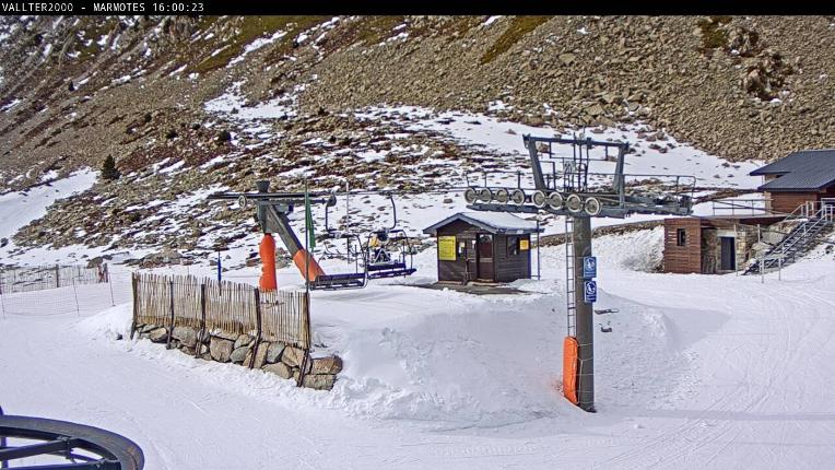 Webcam Vallter 2000: Marmotes