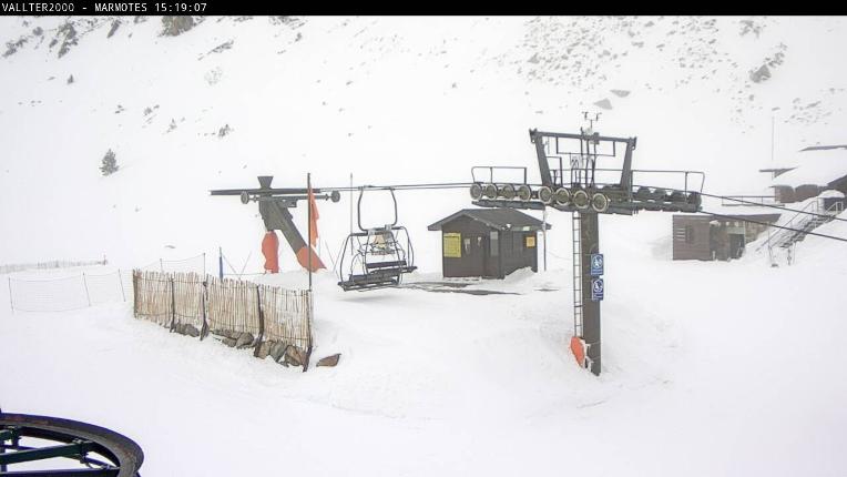 Webcam Vallter 2000: Marmotes