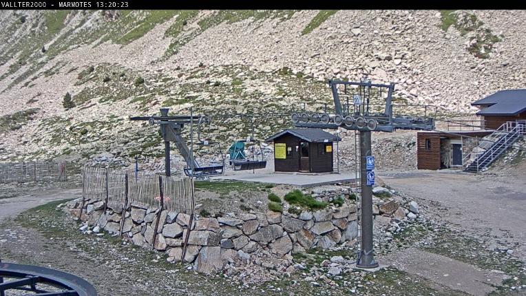Webcam Vallter 2000: Marmotes