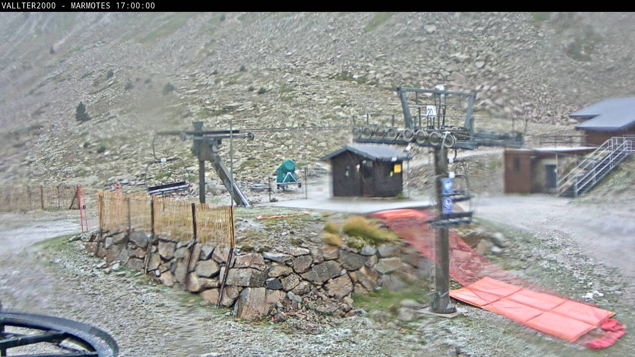 Webcam Vallter 2000: Marmotes