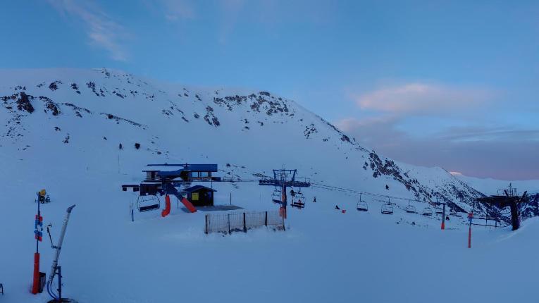 Webcam Vallter 2000: Marmotes