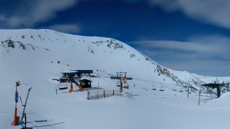 Webcam Vallter 2000: Marmotes