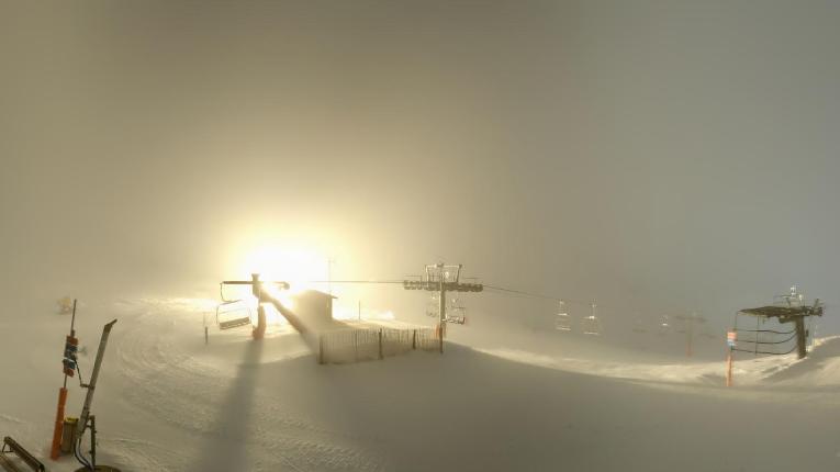 Webcam Vallter 2000: Marmotes